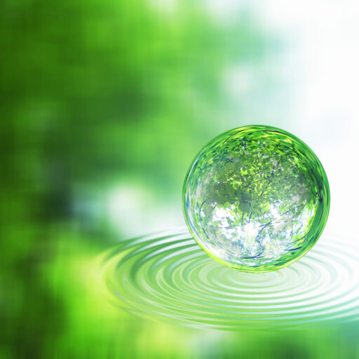 継続的社会貢献への取り組み